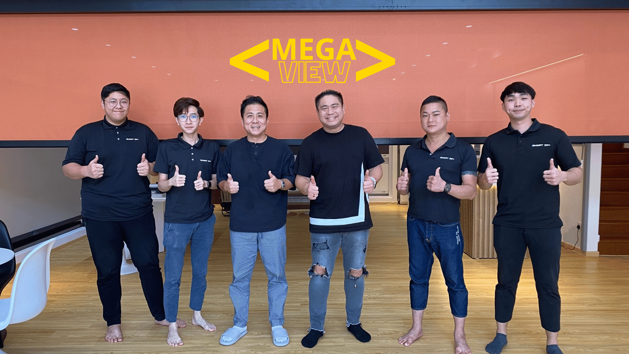 Megaview facebook posting (3)