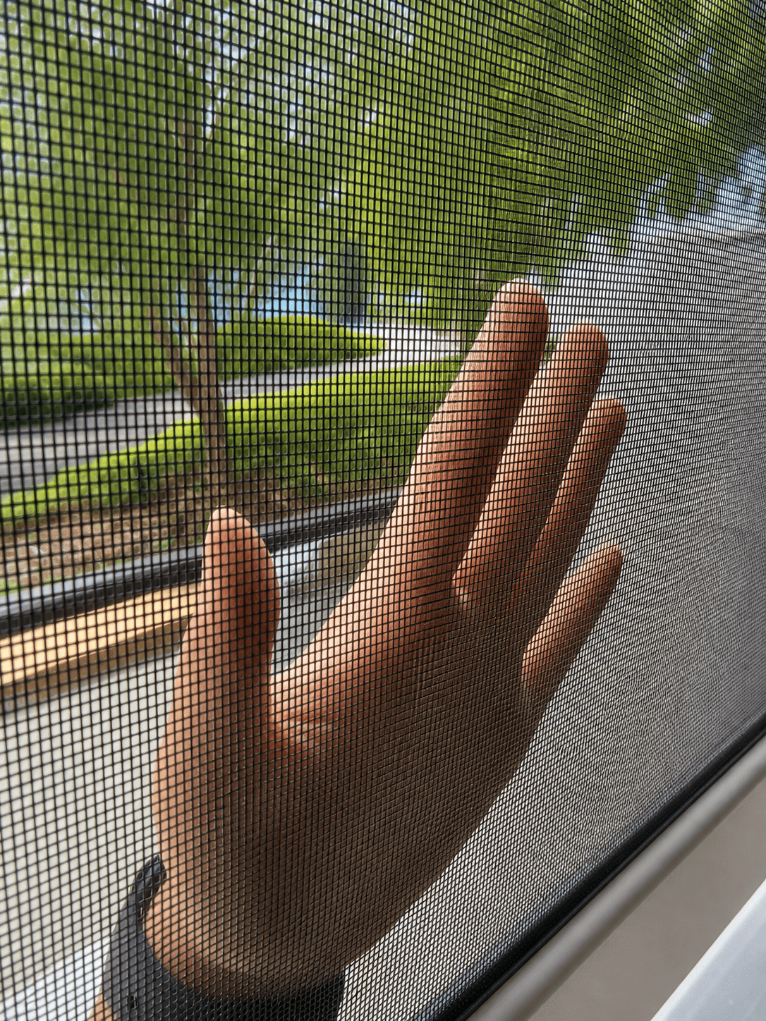 Close-up of insect mesh showing visibility and airflow